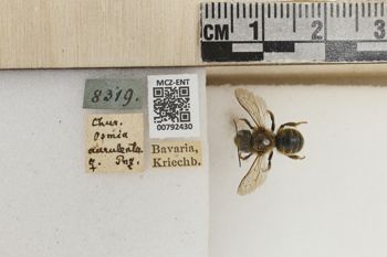 Media type: image;   Entomology 792430 Aspect: Labels